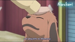 Este es Akemaru, el hijo de Akamaru (Perro Ninja de Kiba)