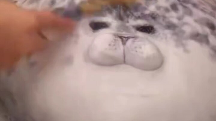 Quả cà tím mốc không ý nghĩa