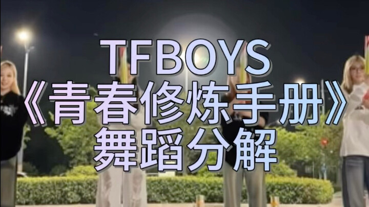 TFBOYS "Buku Panduan Masa Muda"