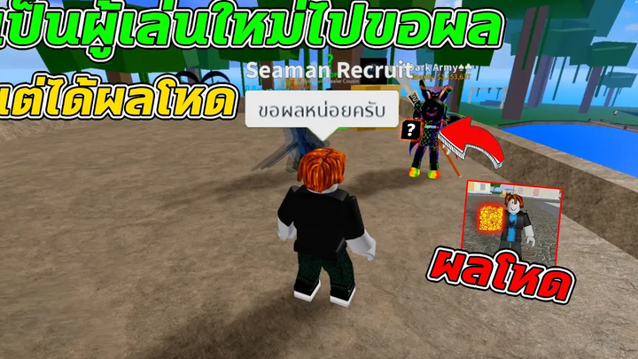 Roblox│Blox Fruits13 ทดสอบสังคม เป็นผู้เล่นใหม่!! แล้วไปขอผลแต่ได้ผลโหด