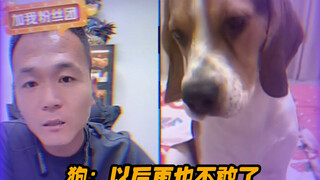 Pan Hong! Spesialis dalam mengobati berbagai penyakit anak anjing yang sulit dan rumit.