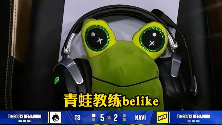 Huấn luyện viên ếch thời nay bận rộn đến mức đầu bù tóc rối, belike