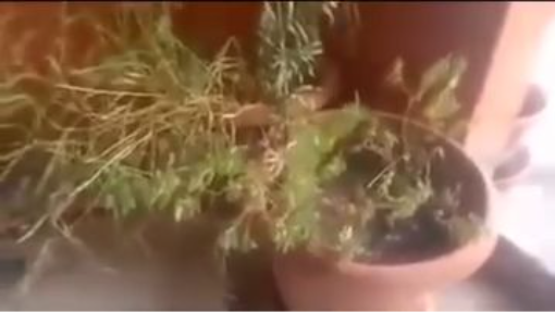 Bilge Adam Reis - Mehdinin ne olduğunu açıklıyor ve sövüyor