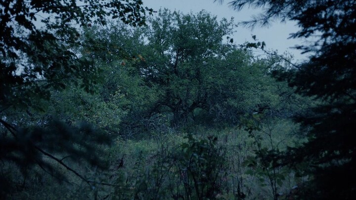 At the places of Ghost