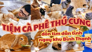 TIỆM CÀ PHÊ THÚ CƯNG siêu xinh đốn tim dân tình ngay bên khu Bình Thạnh.