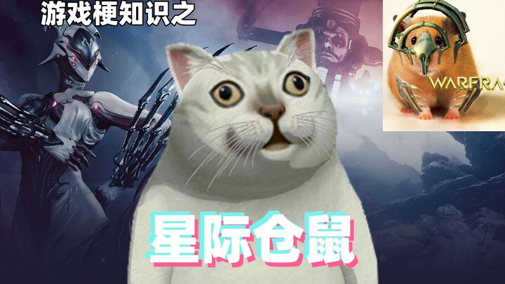 Gaming Memes 101: Starship Hamster