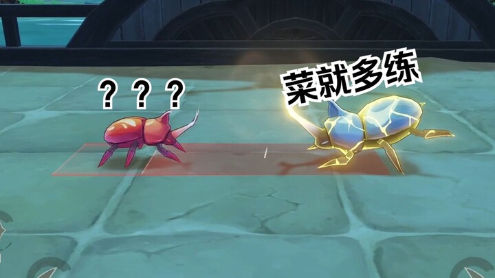 Bibo’s fiery bug battle!!!