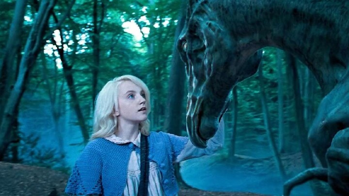 The darling of heaven has a special preference for pudding. Whenever Dobby sees her, he always says:
