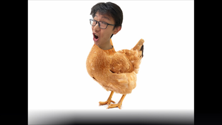 Đưa con gà mái lắc lư nào