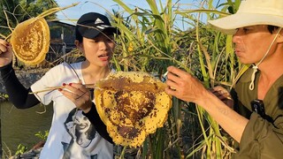 Ánh Kua lần đầu bị Ong rượt dí đánh| Ổ Ong Ruồi siêu to