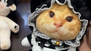 感谢等待，我们终会相见