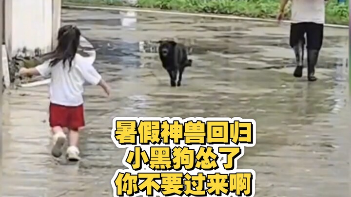 Begitu libur musim panas dan sang cucu perempuan pulang, anjing hitam kecil langsung kabur; dosa-dos