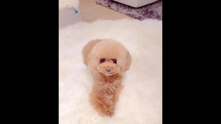 ดูหลายรอบมาก😂😂😂😂