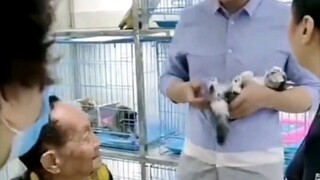 Cute snack destroyers Yuan Lao and Yuan Huahua~