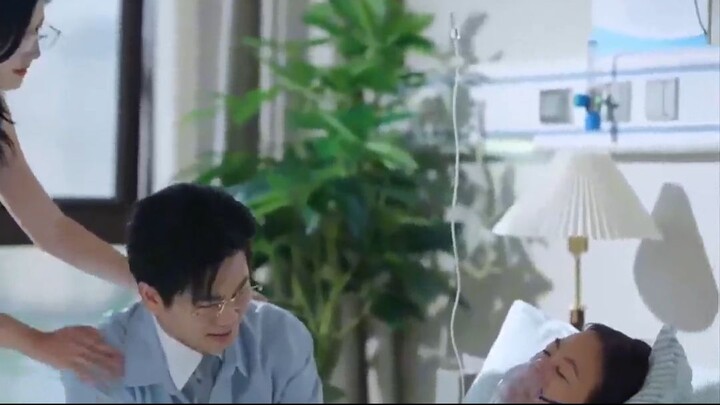 Old Friends' Eyebrows Covered in Spring Snow (故人眉上春山雪) (2025)