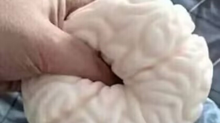 ถ้าคุณหัวเราะ แสดงว่าคุณถูกอินเทอร์เน็ตทำลายแล้ว 【รวมมีม】เติมเต็ม