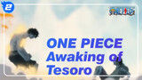 ONE PIECE  Awaking of Tesoro_2