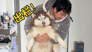 หลังจากลดน้ำหนักมาครึ่งปี หมูตัวนี้ก็กลับมาอ้วนอีกครั้ง ดูเหมือนถึงเวลาต้องถูกเชือดแล้ว!