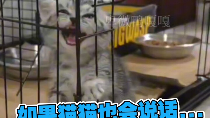 أين أضع الباب! 😭