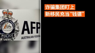 诈骗集团盯上新移民充当“钱骡”