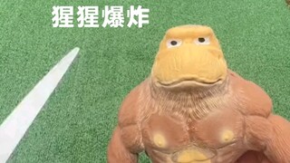 全新爆破艺术，高质量猩猩