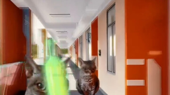 The stinky water you raise: