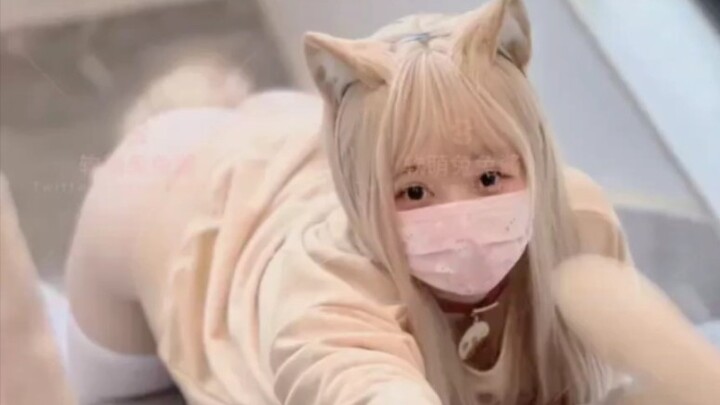 Đừng chỉ nhìn chằm chằm vào móc câu của người khác