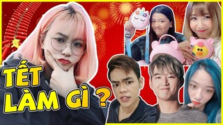 Tết các Youtuber sẽ làm gi?? || MISTHY PHỎNG VẤN || TẾT 2020