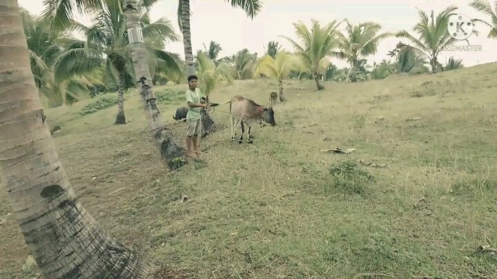 My Imaginary Guy. (Short film)