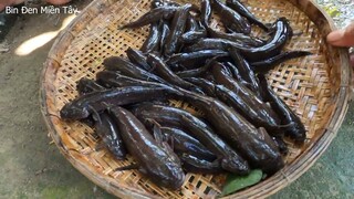 Cá bống dừa bự không. Cá bống dừa chiên giòn nước mắm xoài - Bin Đen Miền Tây # 270