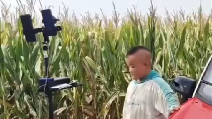 A Strange Phenomenon Witnessed in the 21st Century