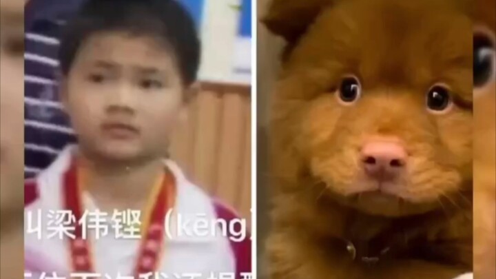 Khùng Tử: Không được quật ngã để dạy dỗ đâu! (giận dỗi 😠) Sưởng Tử: Ơ kìa, anh ấy bảo tôi về ngủ cơ 