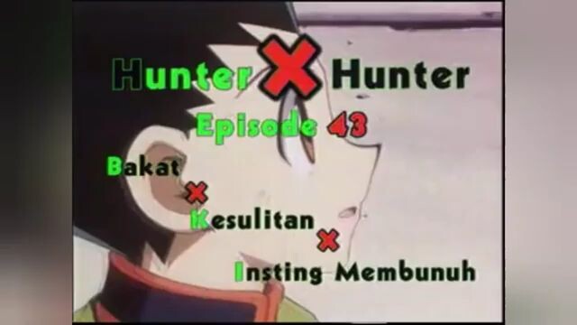 hunter x hunter 1999 volume 22