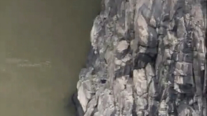 So it turns out that anglers really do respawn randomly.