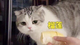 给猫吃榴莲，猫脸都变形了