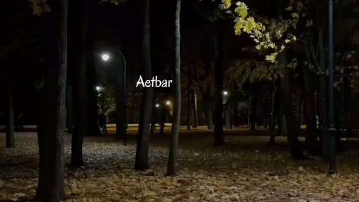 Jab Woh Ajnabi Se Guzarte Hain 💔 | Aesthetic Love Video