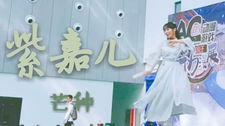 【紫嘉儿】《芒种》现场版