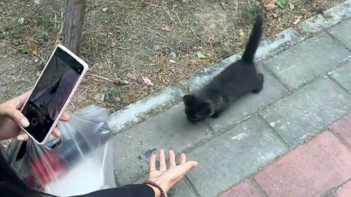 Tangan pacarku masih terlalu cepat