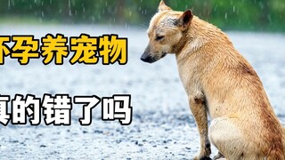 Suddenly I can understand people who abandon their pets when they are pregnant!