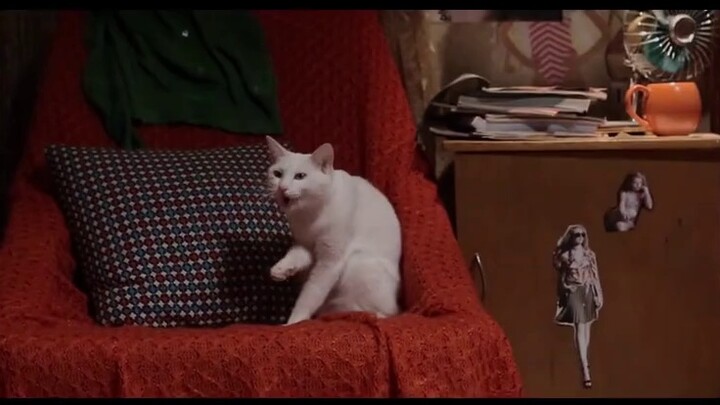 Suara dan dialog Yang Mi cukup bagus. Dia jujur dengan kesendiriannya dan merasa sangat baik.