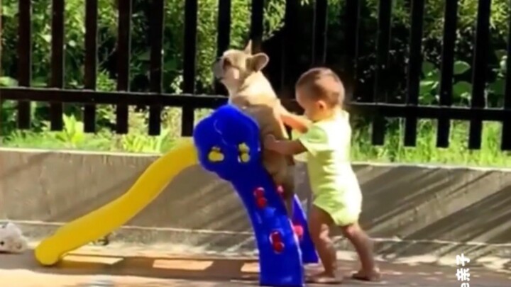 “Đi chơi cũng phải dẫn cún cưng của mình đi cùng!”