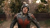 [4K Ultra HD] Ant-Man is worthy of being the comedian of the Avengers, watch it and laugh again