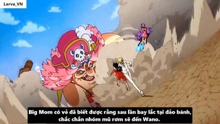 Sức Mạnh Thật Sự Của Kaido Luffy vs Bigmom Tộc Mink Hóa Sulong I One Piece Chương 987_ 4