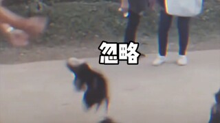 Ayo Xiao Hei, berikan dia pelajaran!