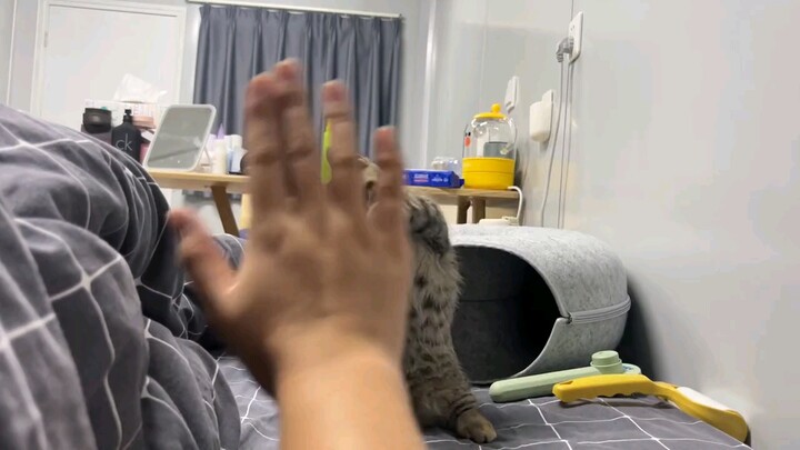 Menanam sebutir benih di dalam hati… Dala dila dala…