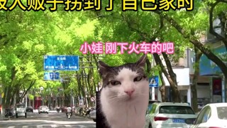 猫meme小剧场