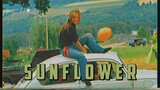 [Vietsub+Lyrics] Sunflower - Rex Orange County
