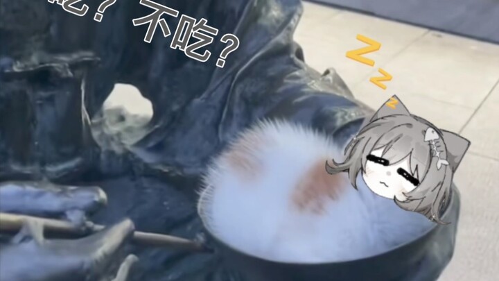 开拓者睡死了…