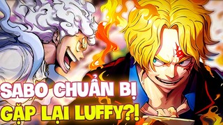 SABO SẼ GIÚP LUFFY HẠ KIZARU?! | SABO CHUẨN BỊ GẶP LẠI LUFFY?!