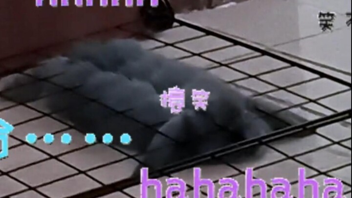 Bunny, aku nggak sengaja berubah jadi kue pipih nih!